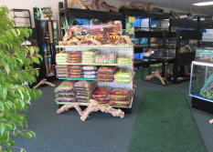 stingers2011004005.jpg